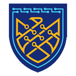 Кибер аюулгүй байдлын зөвлөл